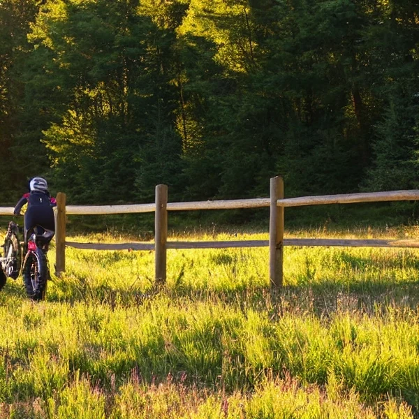 Fatbike i stan